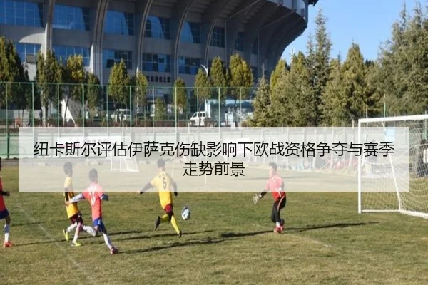 纽卡斯尔评估伊萨克伤缺影响下欧战资格争夺与赛季走势前景