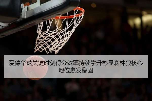爱德华兹关键时刻得分效率持续攀升彰显森林狼核心地位愈发稳固